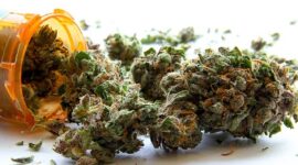 THC